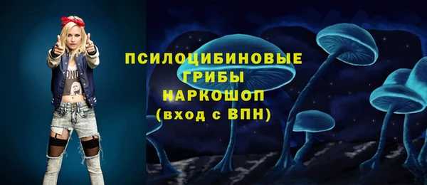 соль ск Сосновка