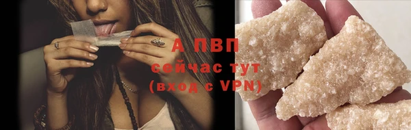 стаф Вязьма