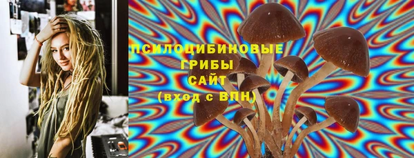 спиды Володарск